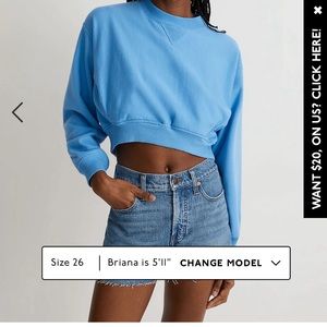 Madewell perfect vintage Jean short, NWT size 29